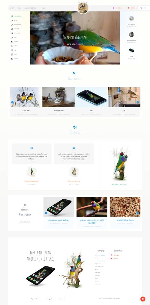 szablon strony - adam jeżyński