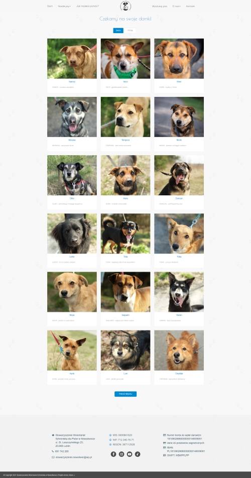 szablon strony - adam jeżyński