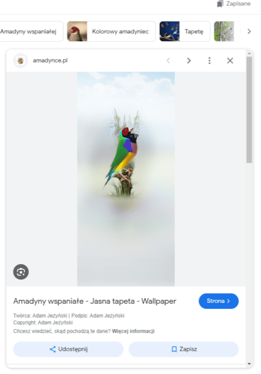 Wyniki Wyszukiwania Zdjec